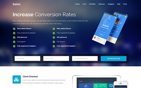 Sales Landing Page